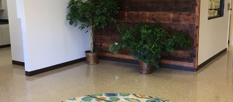 Early Childhood Development Center – Longwood University – Farmville, VA – COMPLETED!